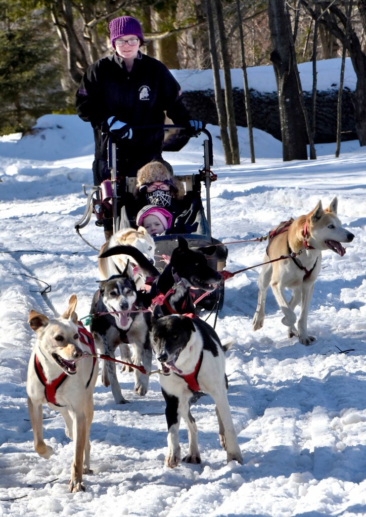 Musher Megan Strout, of Ultimate Dogsledding Experience, and her team of dogs pull passengers Sunday on a trail at Coburn Park in Skowhegan during the last day of the Somerset SnowFest event. 