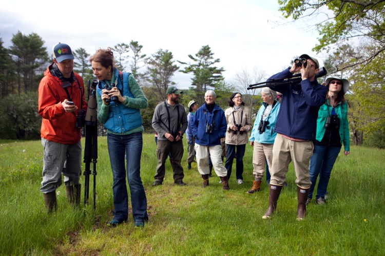 Audubon Staff Naturalist Doug Hitchcox, second from right, leads birders on a walk at Pettengill Farm in Freeport for the L.L. Bean-Maine Audubon Birding Festival in 2018.  Photo courtesty of Maine Audubon.