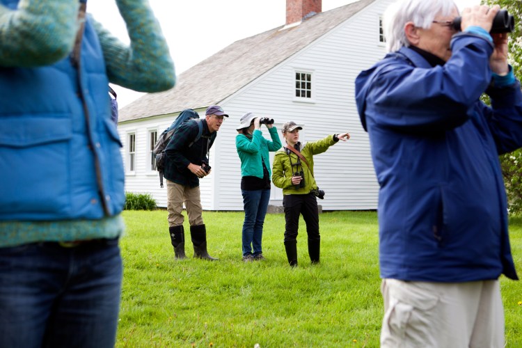 Birders search for migrating species at Pettengill Farm in Freeport for the L.L. Bean-Maine Audubon Birding Festival in 2018. Photo courtesty of Maine Audubon.