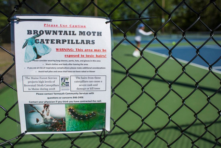 Signs posted at the tennis courts at Yarmouth High School warn people of browntail moths in June 2018.