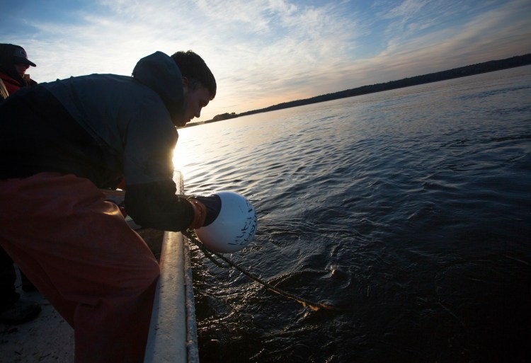 Derek Devereaux, 22, checks a buoy marking one end of a proposed 40-acre lease for an oyster farm in Maquoit Bay in Brunswick. The project helped spur a group of opponents to file a petition with the Department of Marine Resources to change the rules for granting leases so that alternate sites are considered before leases are awarded. 