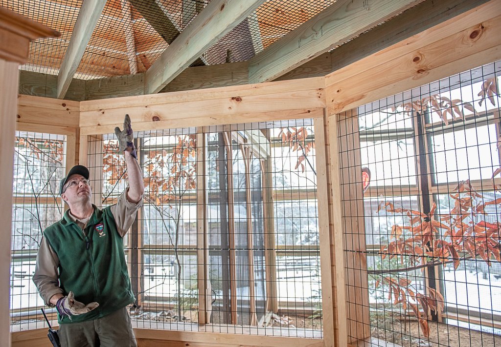 Park Superintendent Curt Johnson points out the poop deck in the new bird enclosure at the Maine Wildlife Park in Gray.