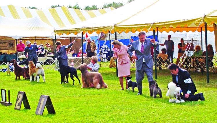 The York County Kennel Club of Maine will hold the Maine Coastal Classic All Breed Dog Shows and Obedience and Rally Trials, Maine’s largest dog show, on May 16-19 at the Cumberland Fairgrounds. 