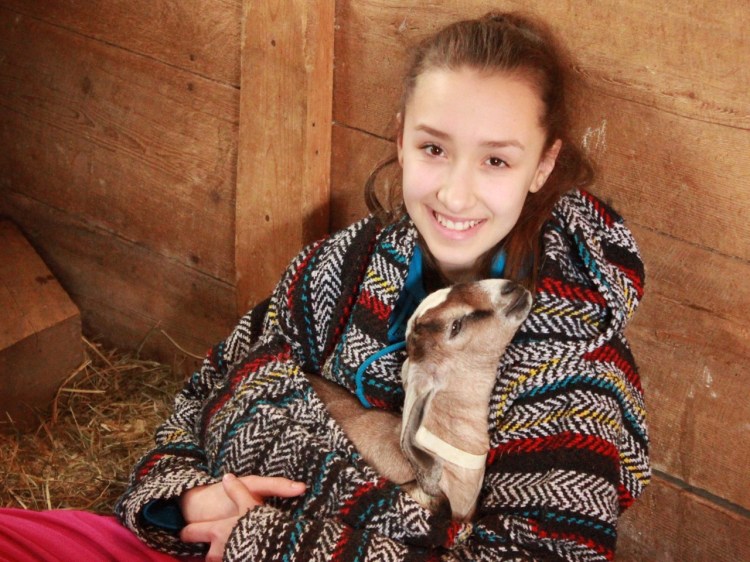 Lily Bray and Nubian goat kid Odysseus at Pumpkin Vine Family Farm in Somerville. 