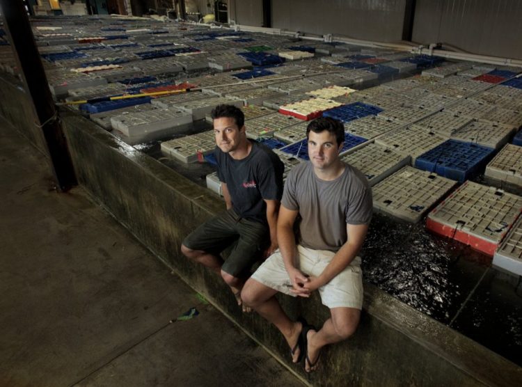 Brothers Brendan Ready, left, and John Ready are co-owners of Ready Seafood. Recently, the company and its Canadian partner, Premium Brands, acquired a lobster processor in Nova Scotia.