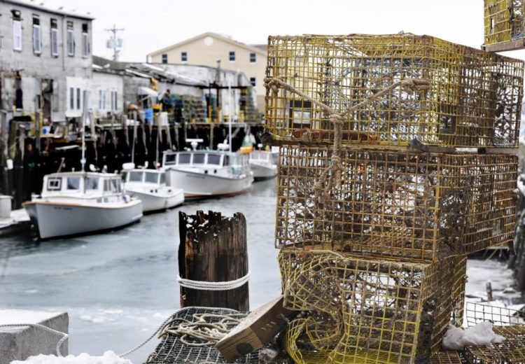 Lobster boats and traps line Custom House Wharf in Portland in 2014.