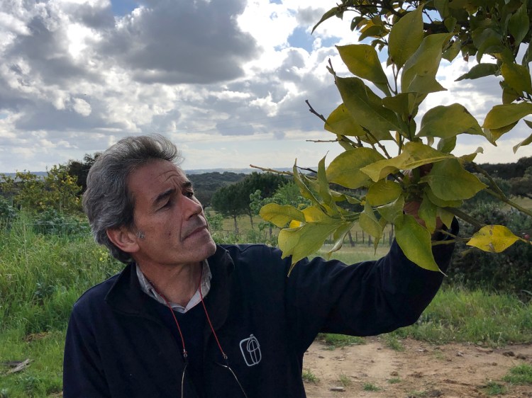 Alfredo Sendim who operates a farm in central Portugal, is one plaintiffs from eight countries to file suit against the European Union over climate change.