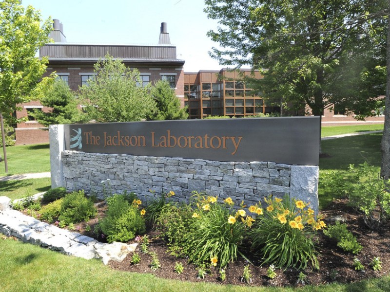 Jackson Lab lands $1.8M grant from Michael J. Fox Foundation