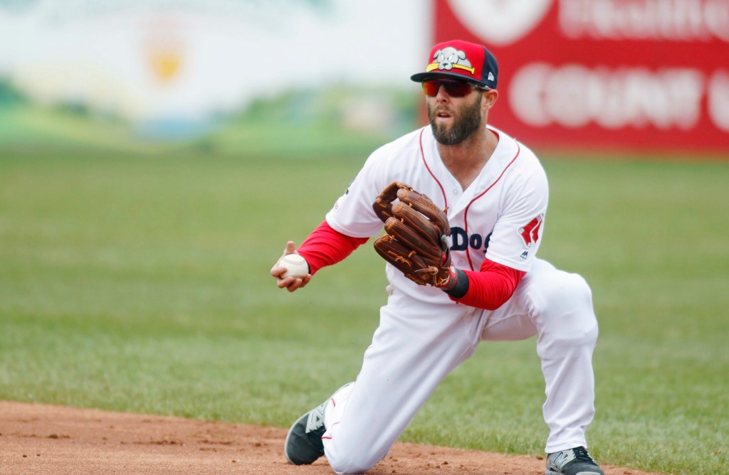 Dustin Pedroia Comes Out Swinging