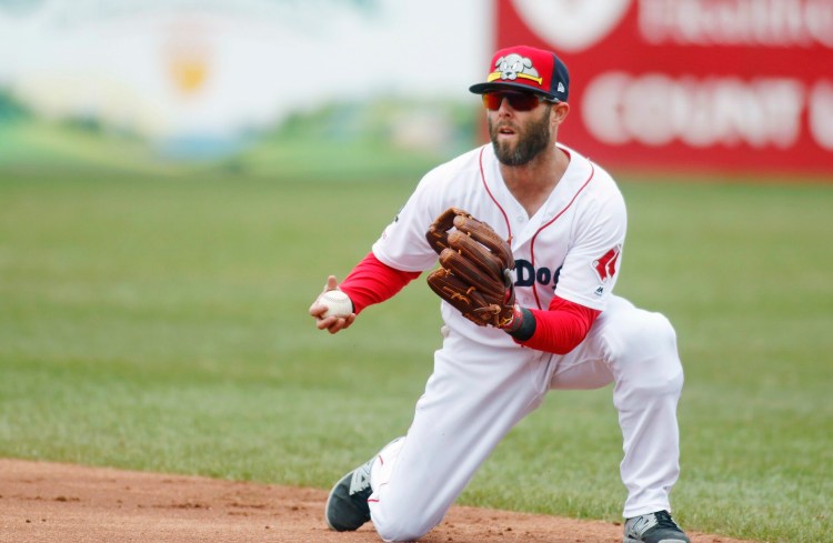 PORTLAND, ME - MAY 5: Dustin Pedroia prepares to throw to first for the last out in the second inning while on rehab assignment with the Portland Sea Dogs. Sea Dogs vs. Binghamton Rumble Ponies at Hadlock Field.  