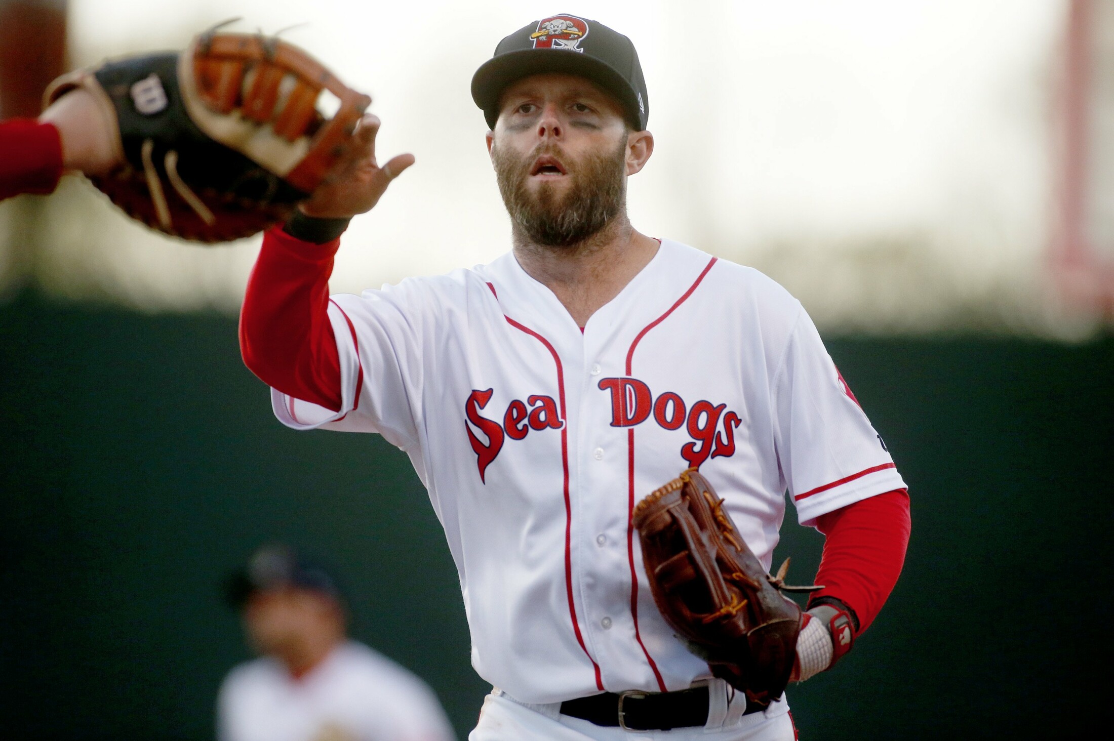 Before he was a Red Sox star, Dustin Pedroia was a top prospect in