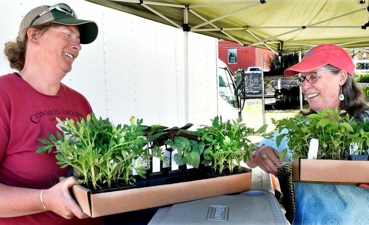 At the Waterville Farmers Market in May 2019, Hanne Tierney, of Cornerstone Farm in Palmyra, hands boxes of seedlngs to Mary Dunn, right. Tierney was one of more than 70 farmers who received a grant to help allay the impact of the coronavirus on her business.