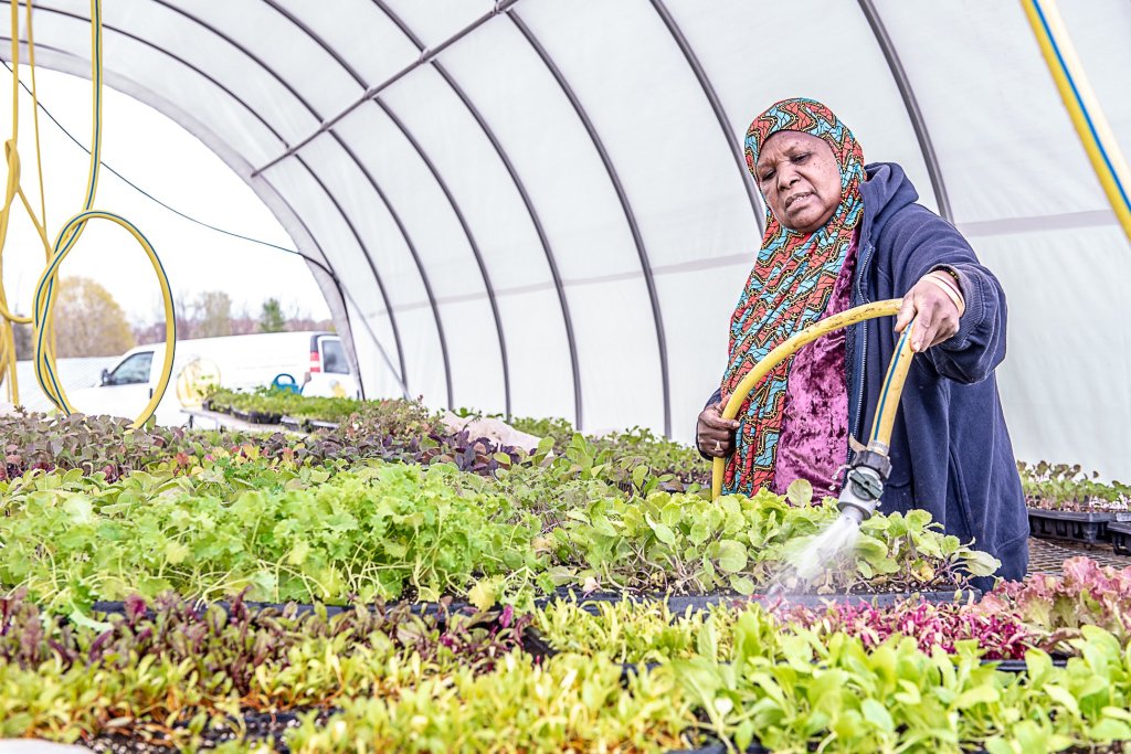 Lewiston’s New Roots farm receives 80,000 in grants