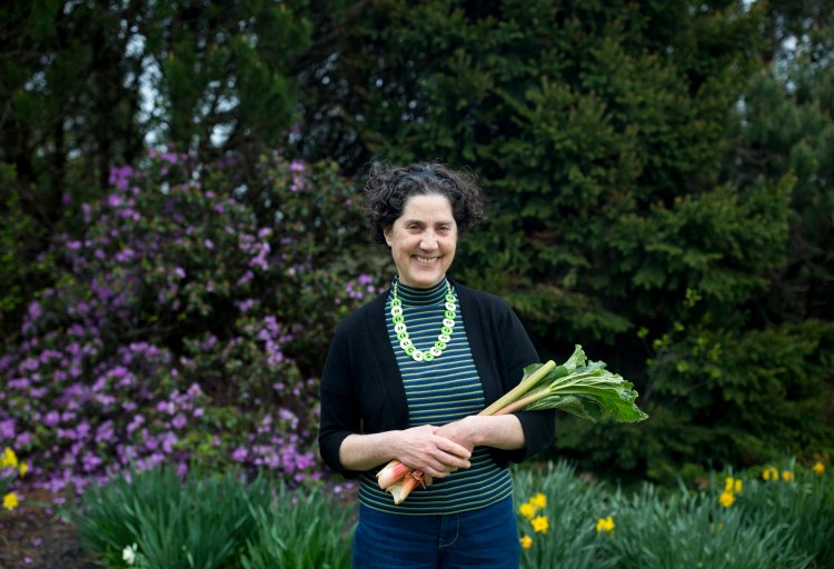 Press Herald Food Editor Peggy Grodinsky cradles her great food love, rhubarb.