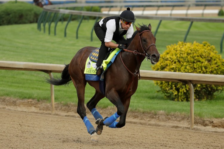 Game Winner is the Kentucky Derby favorite with odds of 9-2 after Omaha Beach was scratched on Wednesday.