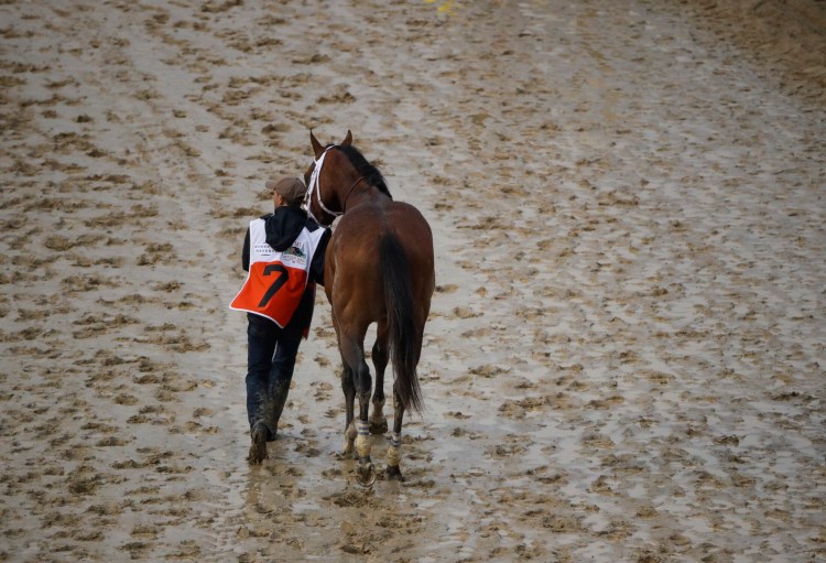 Maximum Security is walked off the track after being disqualified for the 145th running of the Kentucky Derby on Saturday at Churchill Downs in Louisville, Ky.