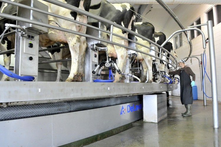 George Goodwin milks dairy cows on a revolving industrial milking machine at Flood Brothers Farm on River Road in Clinton in 2012. The farm is now participating with Summit Natural Gas in a new renewable natural gas program aimed at supporting the local economy and fighting climate change by converting cow manure to biogas for cooking and heating.