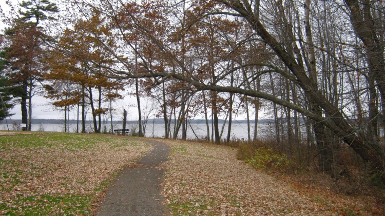 The walking track in the park near Unity Pond in October 2009.