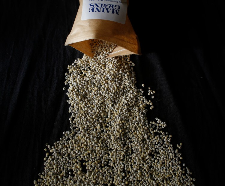 Maine Grains has begun selling pearled Black Nile Barley, wholesale and retail, and will be co-sponsoring the Bread and Brews event at MOFGA in Unity. 