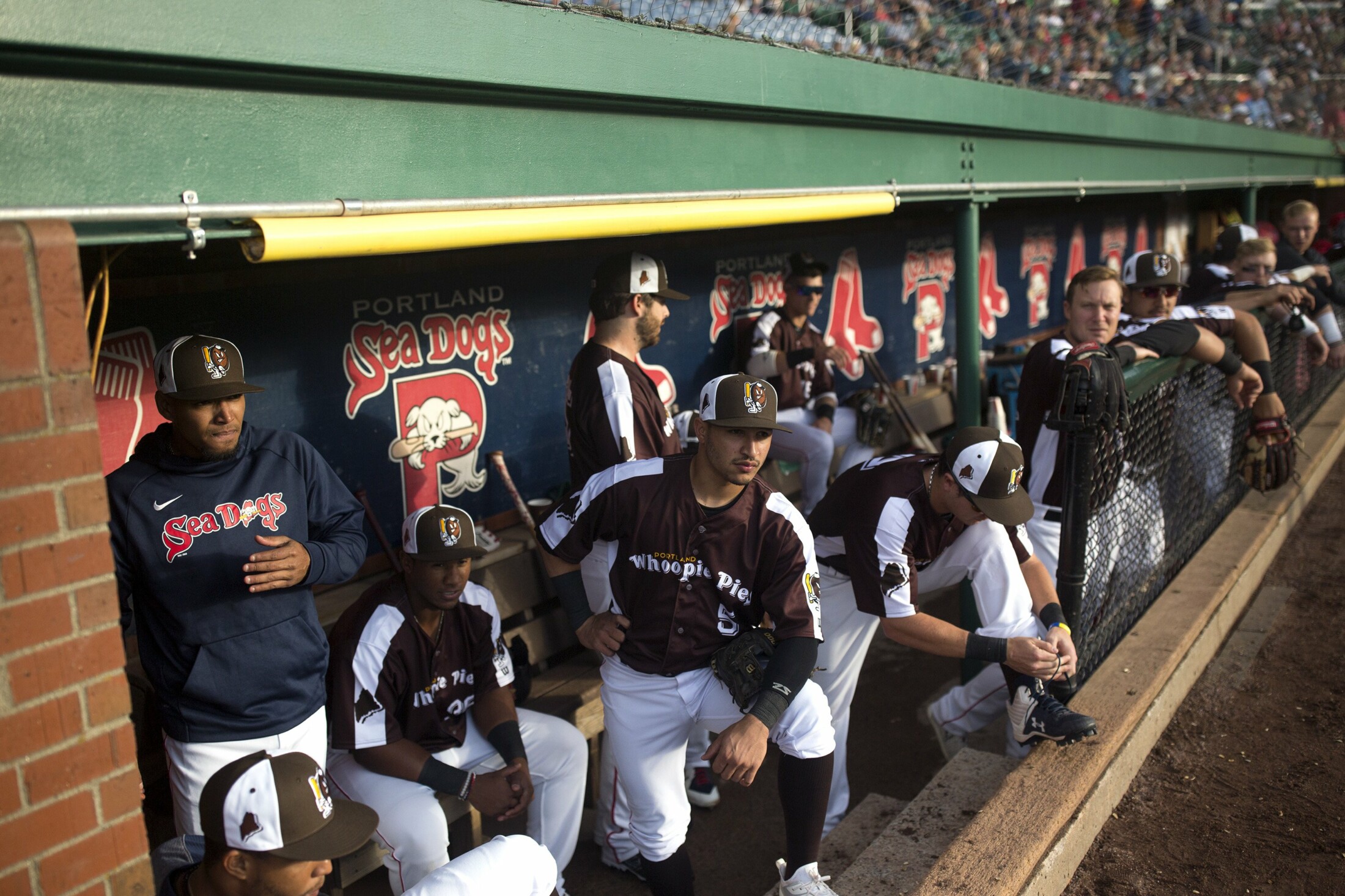 Portland Sea Dogs to Become Maine Whoopie Pies Again