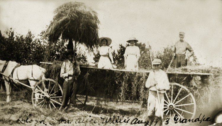 Francis Kennedy and family bringing in the hay in Somerville in 1913. 