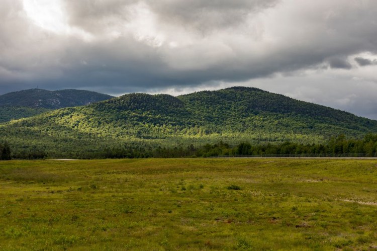 The Trust for Public Land, the Northern Forest Center and Bethel-based Mahoosuc Pathways have acquired 978 acres of forestland in Bethel on Tuesday. The parcel connects to an even larger swath of land, creating a 3,500-acre tapestry of conserved land between Bethel and Sunday River. 