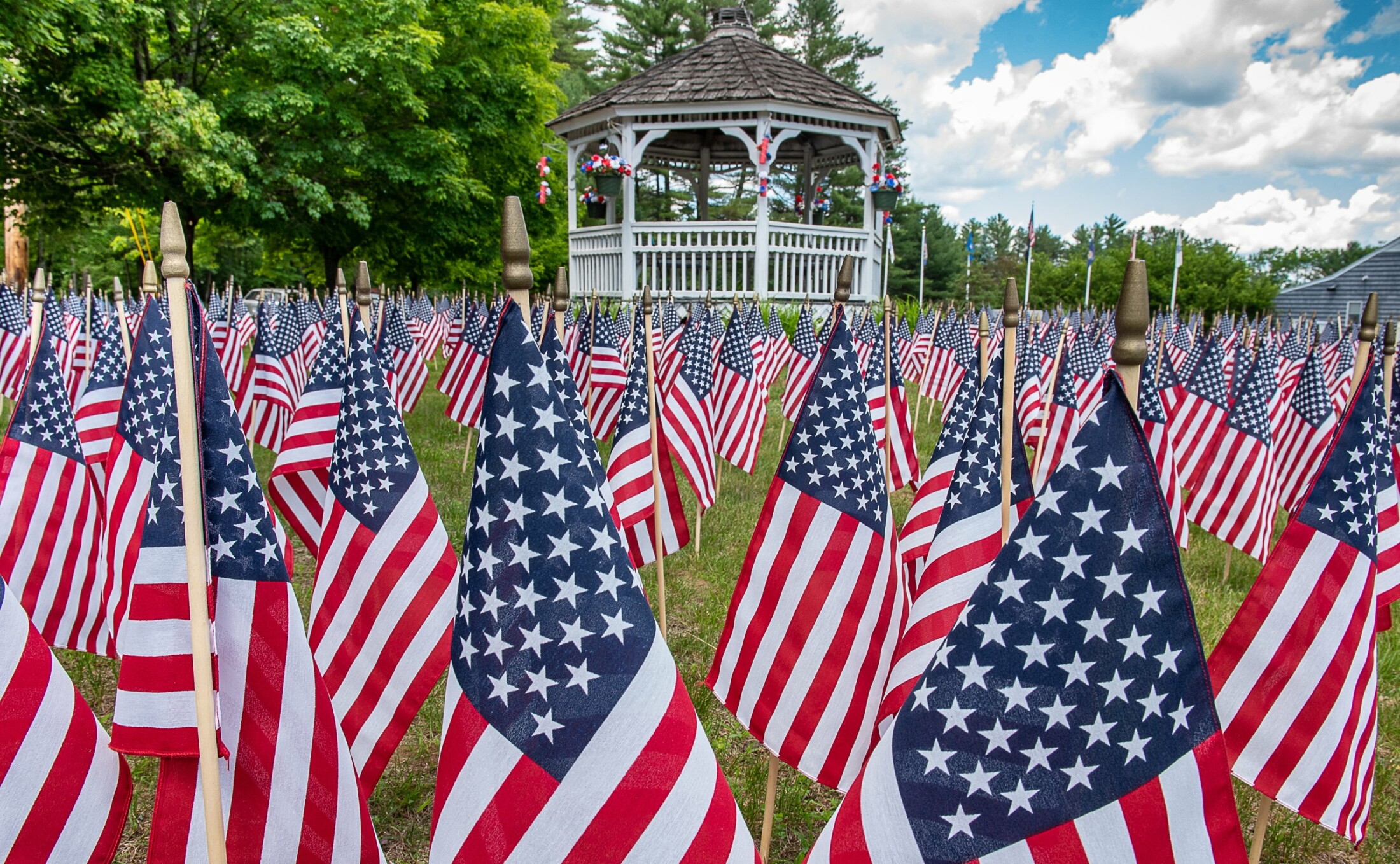 Hero of Flag - World Flags