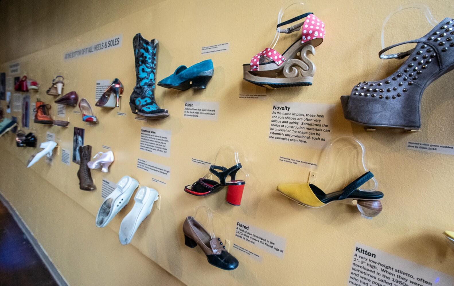 Discover the Variety of Heels: Infographics