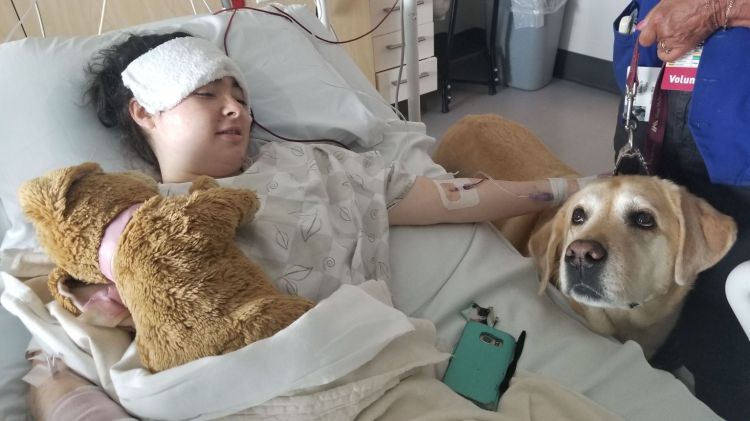 This photo from Glen Hilt’s GoFundMe fundraising page shows Emily Miller with Mosley, a hospital therapy dog, after her surgery Tuesday.