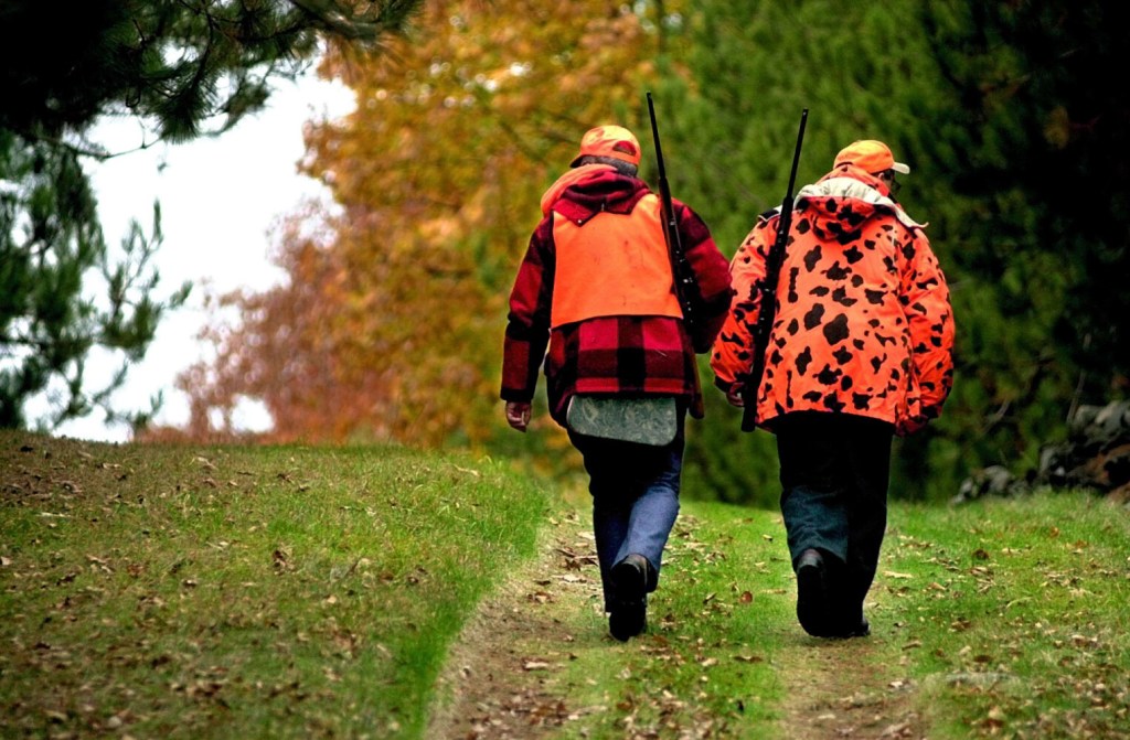 Maine to drop deer permits by 20 after exceeding doe harvest goal