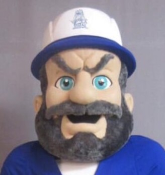 The Toronto Blue Jays are - Sugar's Mascot Costumes