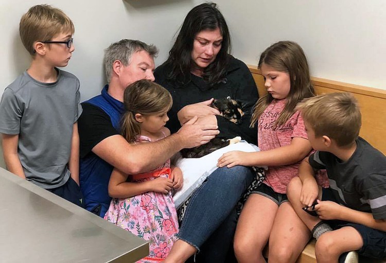 Jennifer Banis, her husband, Ian Talmage, and their children say goodbye to Miss Kitty at Portland Veterinary Emergency and Specialty Care.