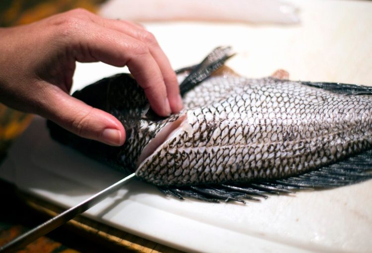 Black sea bass is one fish that diners could be seeing more frequently on menus in the future. The mid-Atlantic species already has started moving north into Gulf of Maine waters as the Atlantic Ocean warms.