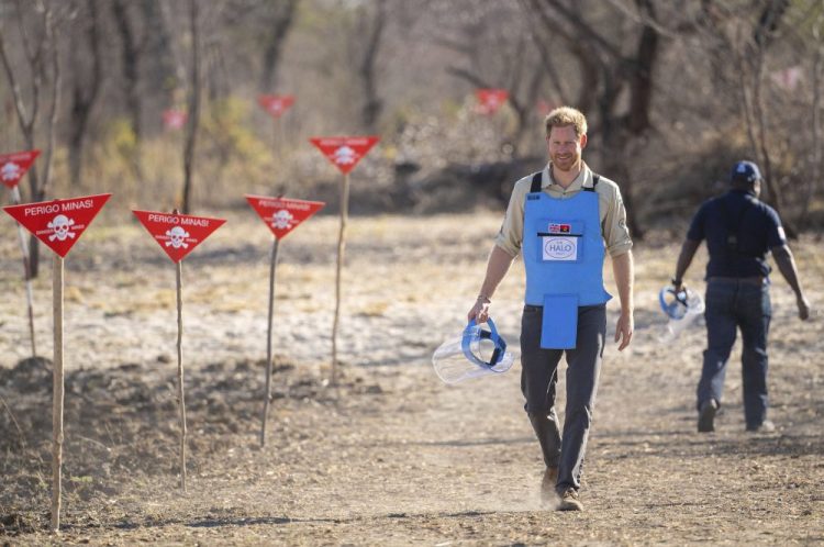 Britain's Prince Harry walks through a minefield in Dirico, Angola Friday Sept. 27, 2019, during a visit to see the work of landmine clearance charity the Halo Trust, on day five of the royal tour of Africa. 