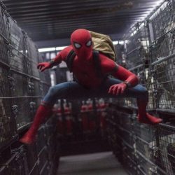 Film-Spider-Man-Marvel_16933