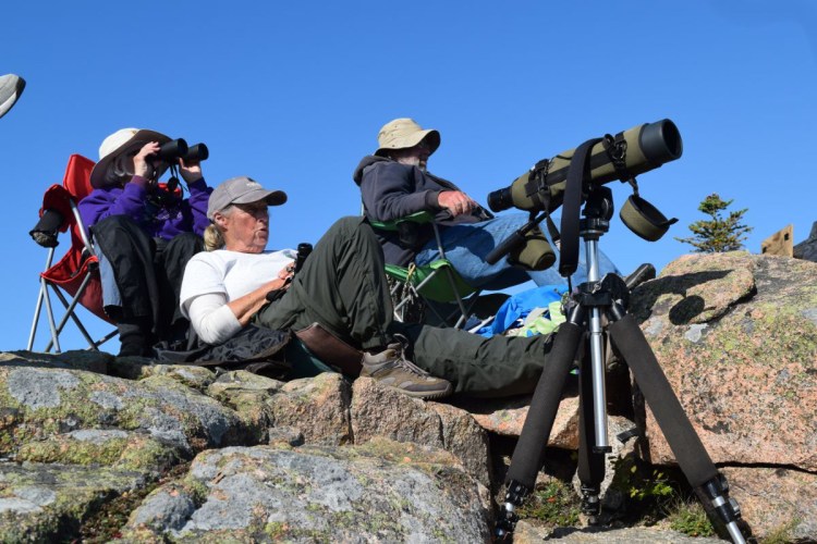 Carol Thompson, in white, Acadia's lead Hawk Watch volunteer, scans the sky for raptors on a recent morning. 