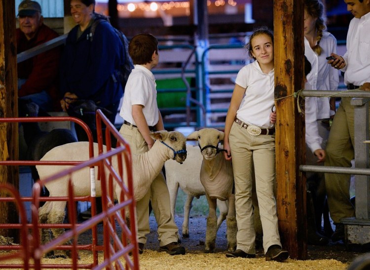 Fourteen-year-old Natallie Domin waits for her turn to auction off her lamb, Buddy, at the 2015 Cumberland Fair. To the left is her brother Ethan, 11. 