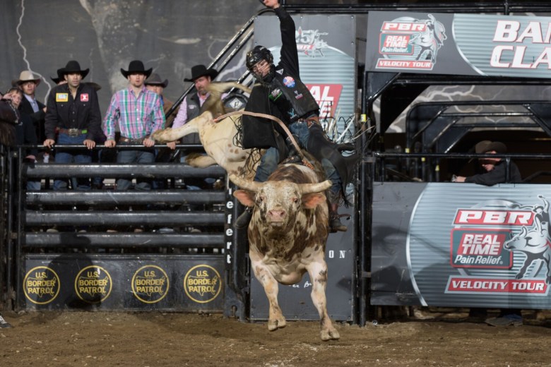 Bull riders cowboy up in Portland