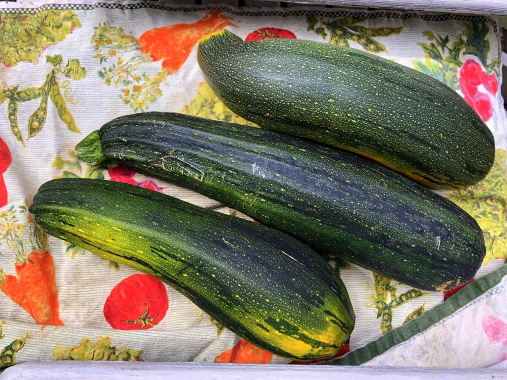 ARCHAEOLOGY OF FRUITS & VEGETABLES - Zucchini (Courgette) - Chef's