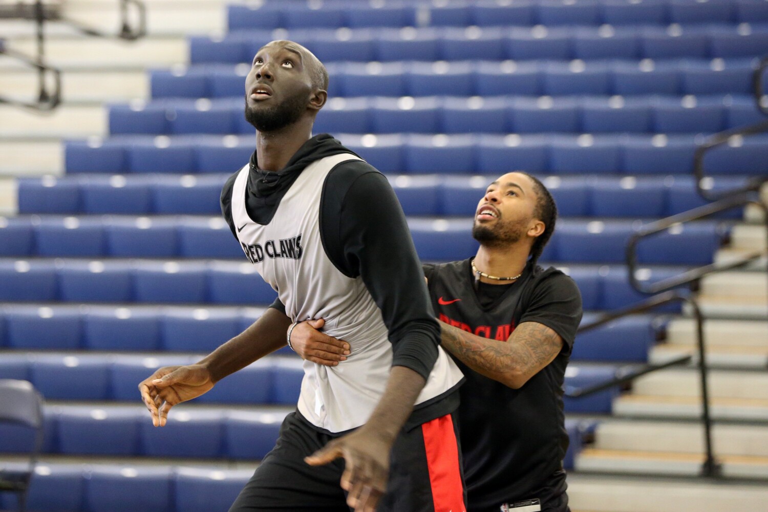 Tacko fall maine red best sale claws jersey
