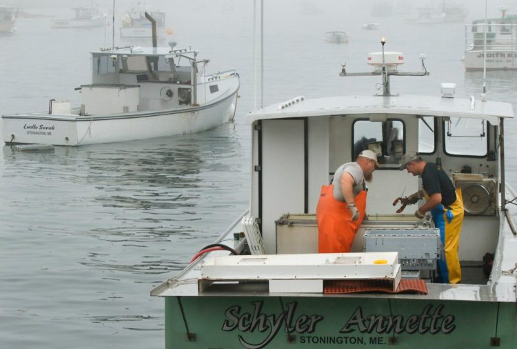 Joe Woods, left, and Ryan Dorr transfer lobsters into a crate aboard Dorr's boat, the Schyler Annette, at Greenhead Lobster in Stonington. The Maine Lobstermen's Association is opposing a state plan to protect endangered right whales because it is too extreme for the negligible risk Maine lobstering poses to the whales. 