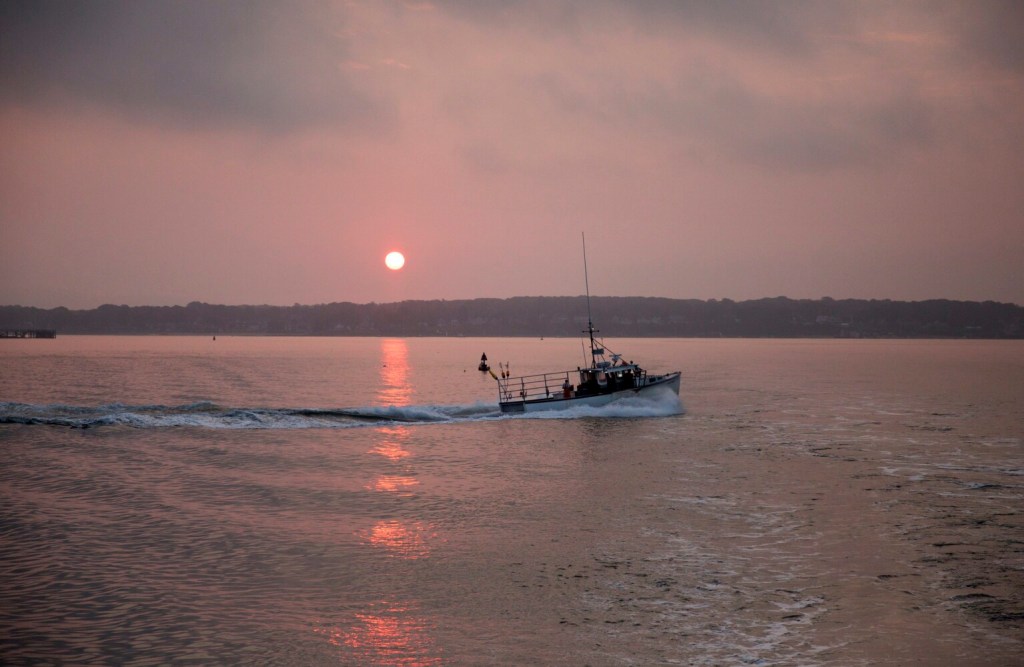 Maine lobster landings ‘are way off,’ down 40 from last year