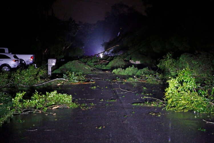 Downed power lines and trees damaged homes as Tropical Storm Nestor passed through the area on Saturday in Kathleen, Fla. 