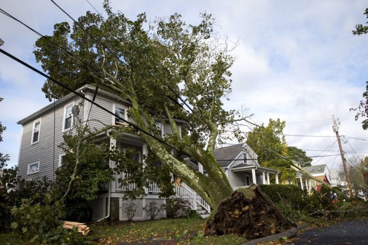 A tree fell onto a house in Danvers, Mass., during the overnight storm that began Wednesday.