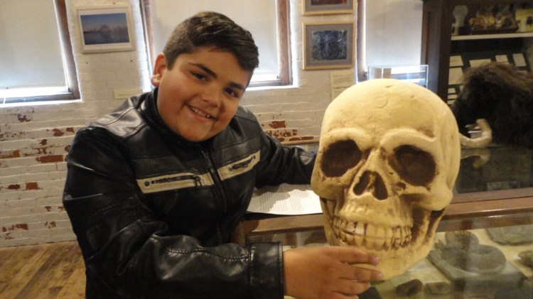 Brayden Palmer, a junior curator at the L.C. Bates Museum in Hinckley, decorates for Halloween.