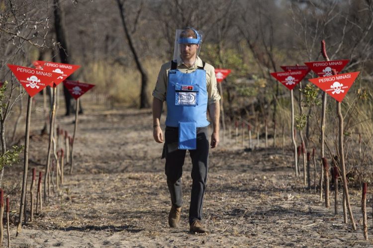 Britain's Prince Harry walks through a minefield in Dirico, Angola, during a visit to see the work of landmine clearance charity the Halo Trust.