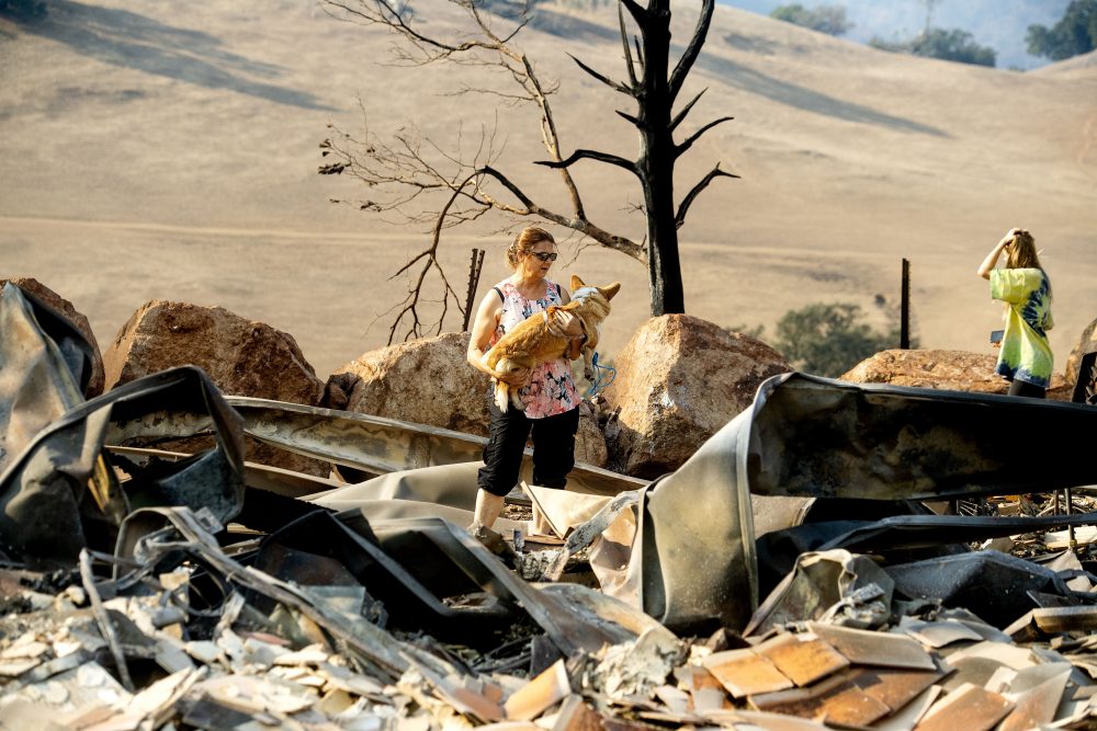 California_Wildfires_Blackout_40927