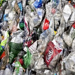Recycling_Bottles_12778