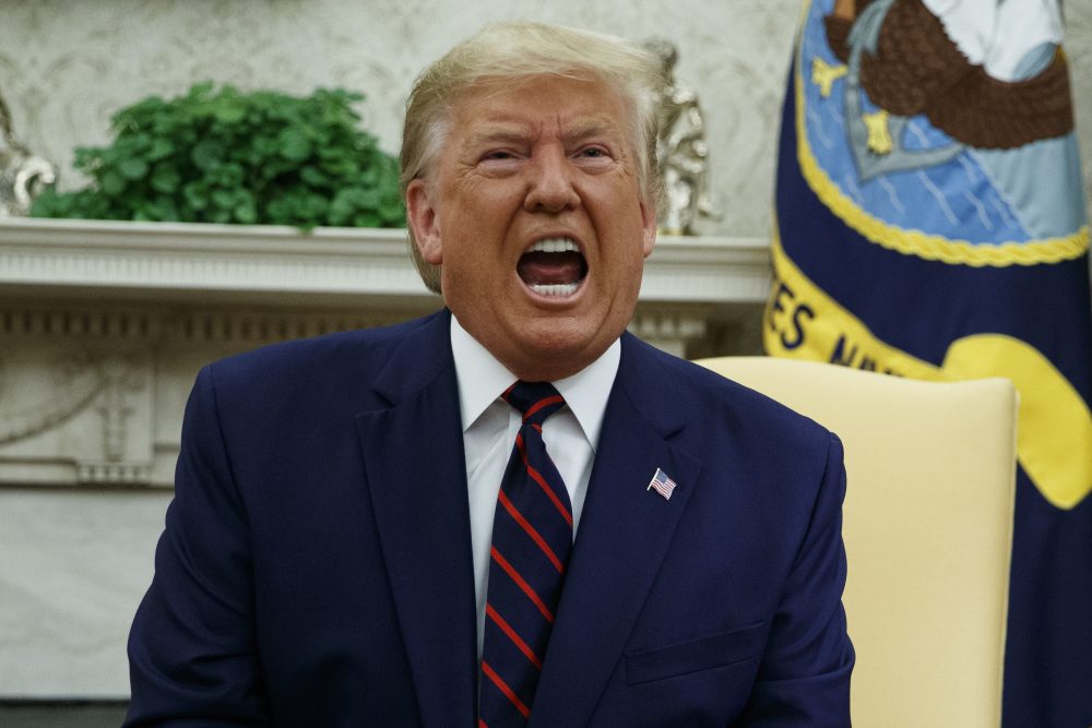 Donald Trump, Sauli Niinisto