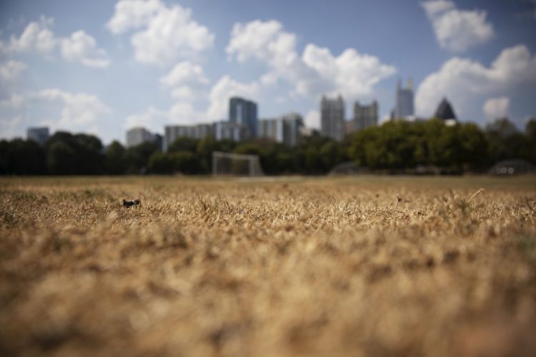 Dry grass from a lack of rain lays beneath the Midtown skyline in Atlanta on Thursday. The current drought has put stress on a variety of crops across the South, including cotton in Alabama, peanuts in Georgia and tobacco in Virginia.
